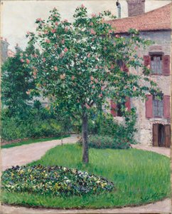 Boom in bloei, 1882