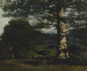 Cederboom in Hauteville door Gustave Courbet