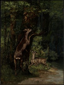 Herten in het bos door Gustave Courbet