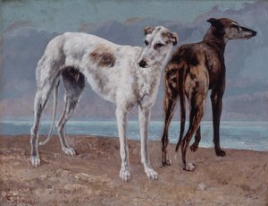 De windhonden van de Comte de Choiseul door Gustave Courbet