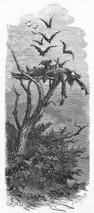 Een Keltische luchtbegrafenis, 1866 door Gustave Dore