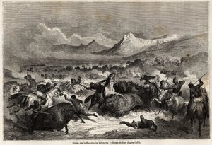 Buffeljacht onder de Delawares, Indianen die aan de oevers van de gelijknamige rivier wonen. Illustratie van de reis van de Mississippi naar de Stille Oceaan in 1853-54 door Baudouin Mollhausen. Gravure door Gustave Dore