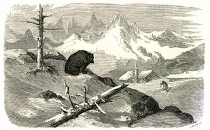 Gravure door Gustave Doré ter illustratie van het boek 
