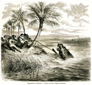Jacht op de rivier Teoghe, zijrivier van de Ngami. Nijlpaard harpoen. Gravure door Gustave Doré ter illustratie van de avonturen en jacht van reiziger Charles-Jean Anderson in Zuid-Afrika, gepubliceerd in het tijdschrift Le tour du monde, een nieuw tijdsch door Gustave Dore