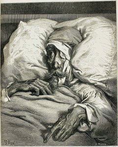 Illustratie uit de roman Don Quichot, door Miguel de Cervantes, 1863 door Gustave Dore