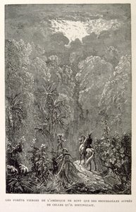 Illustratie van Amerikaans bos. uit La légende de Croque-Mitaine. door Gustave Dore