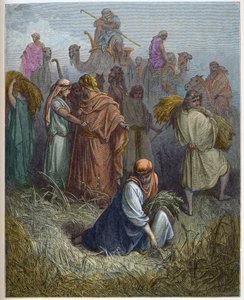 Ruth en Boaz - Ruth werkend in de velden van Boaz - gravure in De geïllustreerde Bijbel door Gustave Doré (1832-1883) - Gravure uit De Doré Bijbel