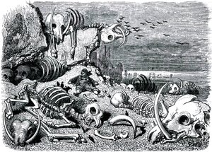 Sindbad de zeeman (Sinbad) - verhaal van de duizend en één (1001) nachten - illustratie door Gustave Dore - editie Maxwell 1865 - Zevende en laatste reis: de begraafplaats van de olifanten waar Sindbad de ivoren slagtanden zal terugvinden door Gustave Dore