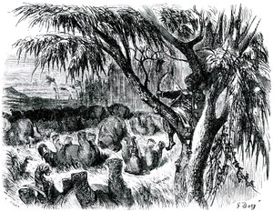 Sindbad de zeeman - verhaal van de duizend-en-een-nacht - illustratie door Gustave Doré - editie Maxwell 1865 - Zevende reis: Sindbad, zittend in een boom, schiet met zijn boog op olifanten door Gustave Dore