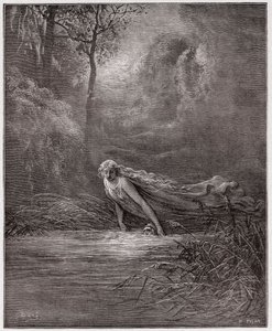 De Goddelijke Komedie, Purgatorio, Canto 31: Dante ondergedompeld in de rivier Lethe - door Dante Alighieri (1265-1321) - Illustratie door Gustave Doré (1832-1883) door Gustave Dore