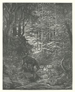 De Fabels van La Fontaine: Het Hert dat zichzelf in de Stroom Bekijkt door Gustave Dore