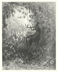 De Fabels van La Fontaine: Het Hert en de Wijnstok door Gustave Dore