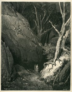 De Hel van Dante Alighieri (de Goddelijke Komedie) geïllustreerd door Gustave Doré. Franse editie van 1861. 