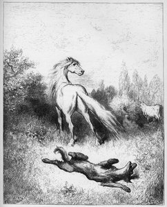 Het paard en de wolf - uit "Fabels" van Jean de La Fontaine