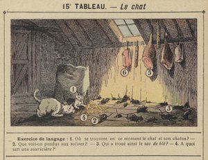 De kat