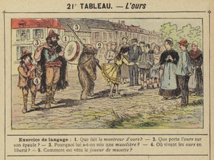 De beer (kleur litho)