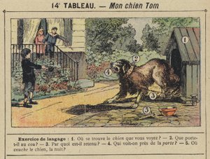 Mijn hond Tom