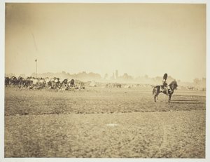 Zonder titel [cavalerie]