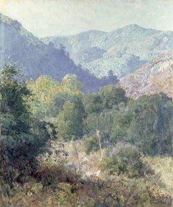 Uitzicht op de San Gabriel Mountains