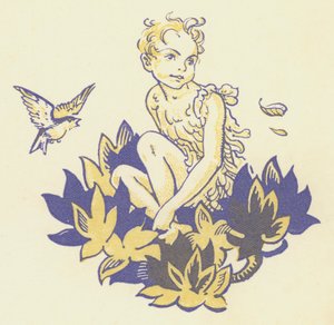 Peter Pan en Wendy: Peter Pan (kleur litho)