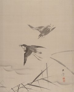 Kleine vogels en bamboe