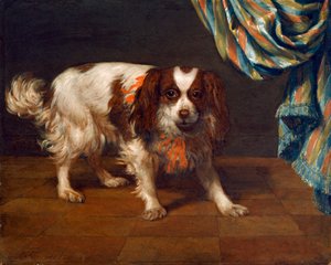 Een King Charles Spaniël door Gysbert van de Kuyl