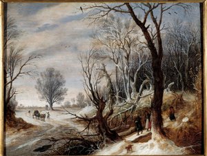 Sneeuwlandschap