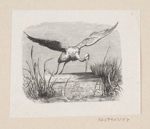 Illustratie voor "De ooievaars" in H.C. Andersen, "Sprookjes en verhalen", Deel 1 door H.P. Hansen