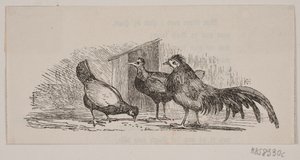 Drie kippen door H. C. Henneberg