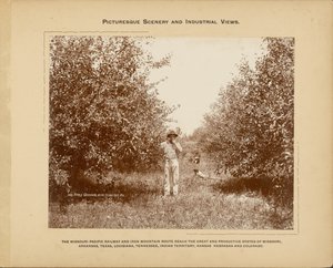 Appelboomgaard, bij Cedar Gap, Missouri