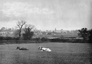 Southwell, ca. 1896