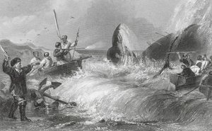 De walvis aan de kust door H. Melville