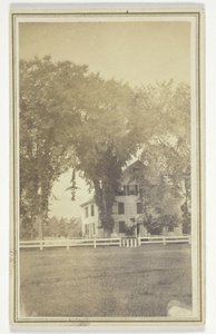 Het huis van Miss Brown en het merkwaardige iepenkruis. door H. O. Bly
