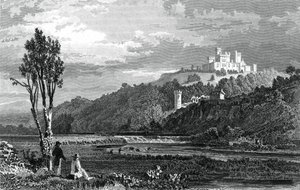 Coltsmans Kasteel, County Cork