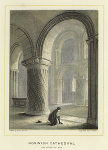 Kathedraal van Norwich, uitzicht over het schip door Hablot Knight Browne