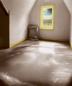 Door het licht