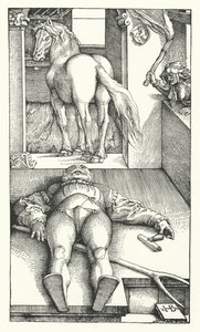 De betoverde bruidegom (gravure)