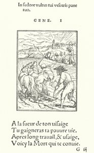 De ploeger of boer