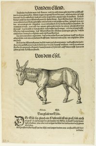 Illustratie uit "Thierbuch", plaat 42 uit Woodcuts from Books of the XVI Century door Hans Asper