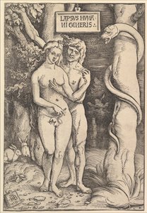 Adam en Eva, 1511