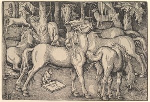 Groep van zeven paarden