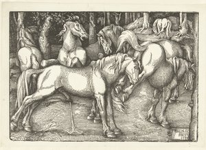 Groep van zes vechtende paarden