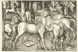 Groep van zeven paarden en een aap door Hans Baldung Grien