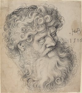 Hoofd van Sint-Jan de Doper