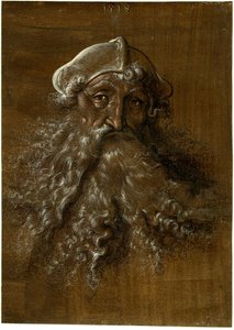 Hoofd van een oude man met een zware baard