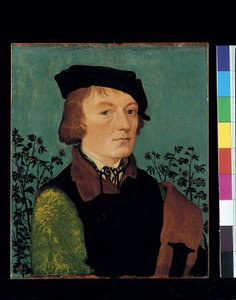 Portret van een man voor een rozenhaag door Hans Baldung Grien