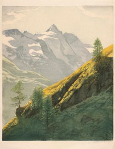 Berglandschap