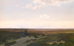 Uitzicht op Pårup Moors bij Silkeborg, Jutland