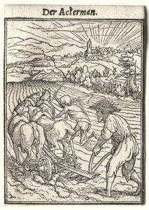 Dans van de Dood: De Ploeger