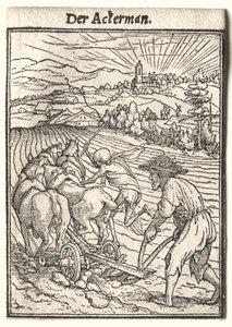 Dans van de Dood: De Ploeger